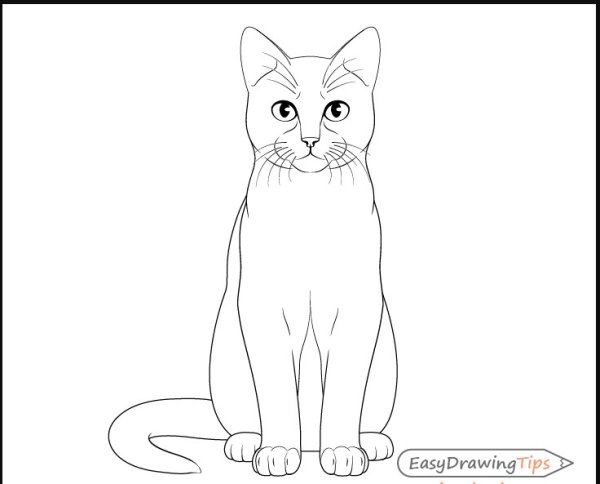 Кот сидит иллюстрация