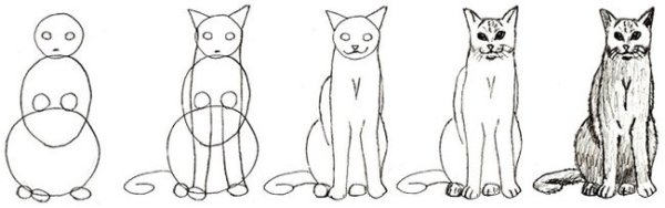 Сидячая кошка рисунок