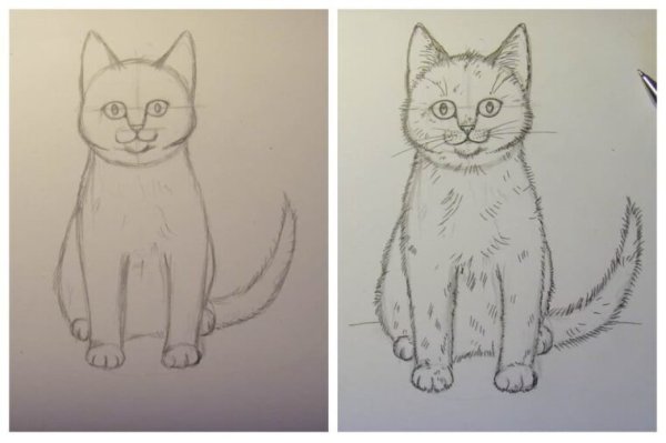 Рисуется кошка для второго класса