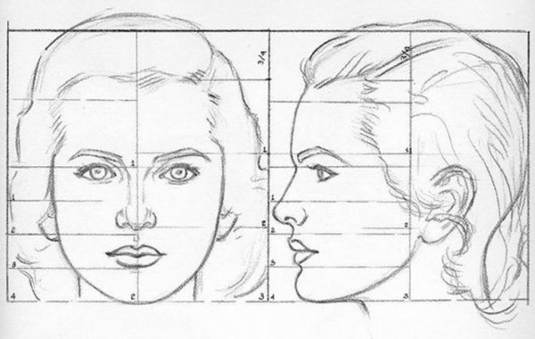 Пропорции портрета человека профиль