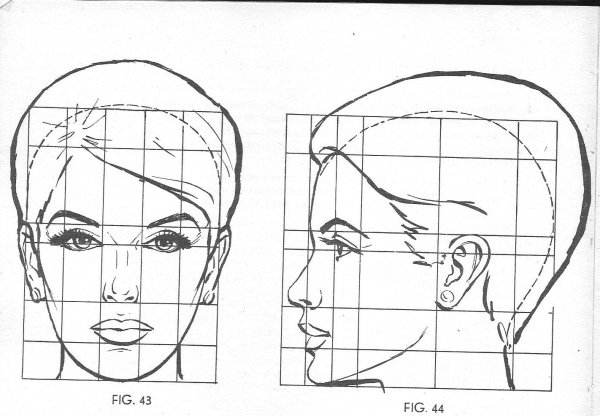 Пропорции лица для рисования