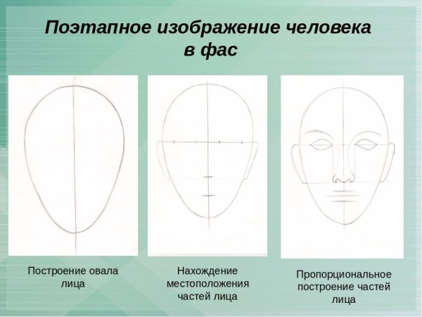 Последовательность рисования портрета для детей