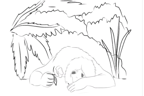 Аленький цветочек раскраска