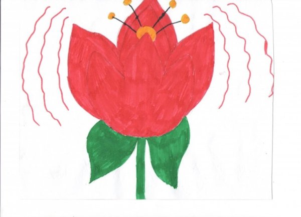 Аленький цветочек раскраска