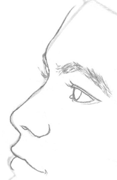 Лёгкие рисунки карандашом оица