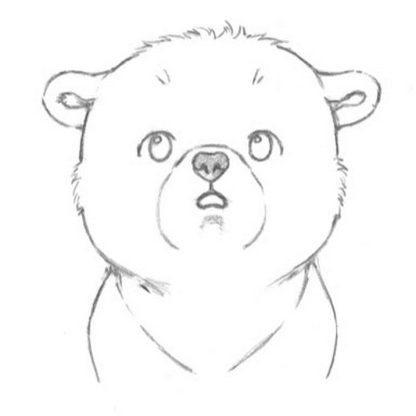 Рисунок медведя карандашом для срисовки