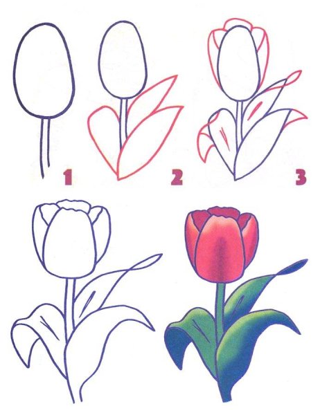 Рисование пошагово цветы