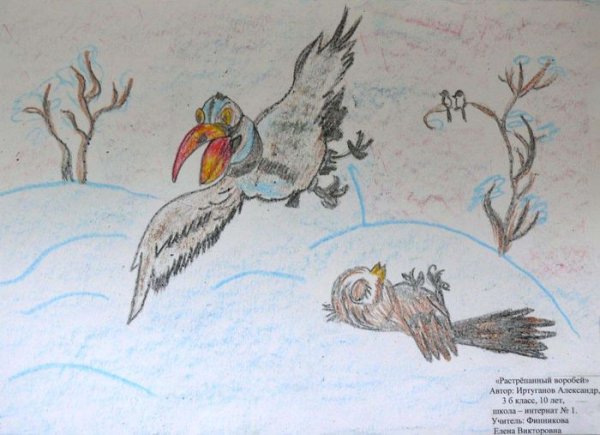 Рисунки растрепанный Воробей Паустовский 3 класс