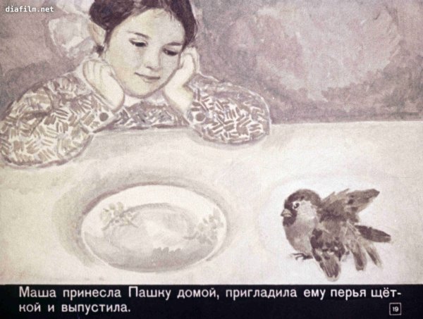 Иллюстрации к рассказу Паустовского растрепанный Воробей