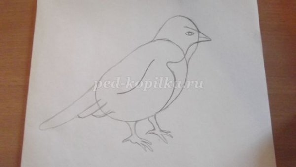 Растрёпанный Воробей пошагово