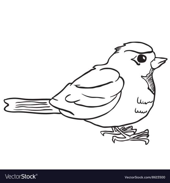 Воробей контур