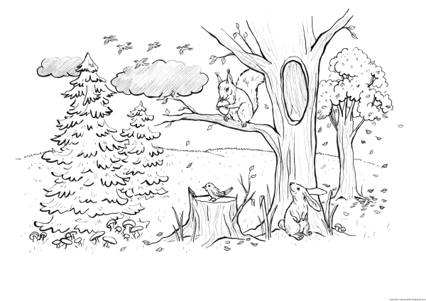 Раскраски в дорогу