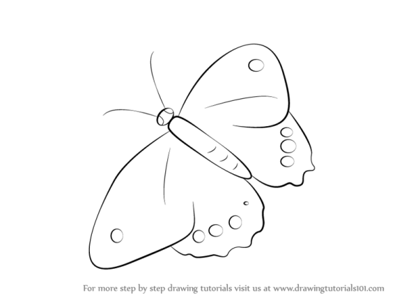 Бабочка рисунок карандашом для детей лёгкий