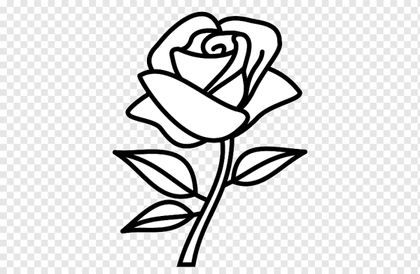 Нарисовать розу