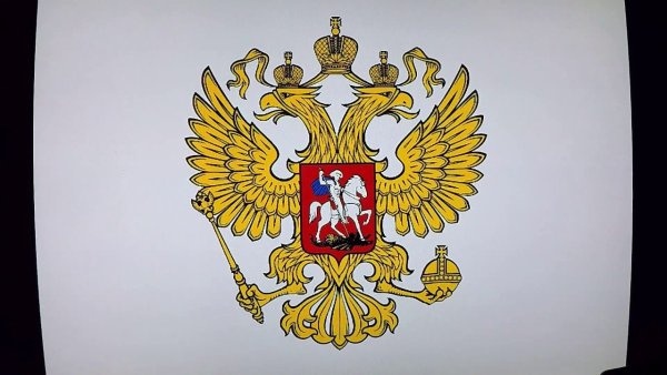 Поэтапный рисунок герба России