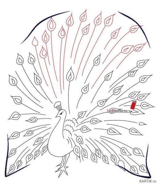 Сказочная птица поэтапное рисование