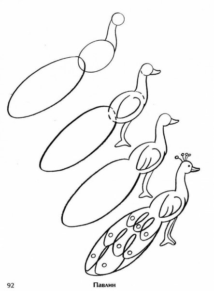 Птица Феникс для детей