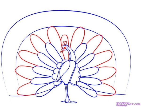 Жар птица раскраска для детей