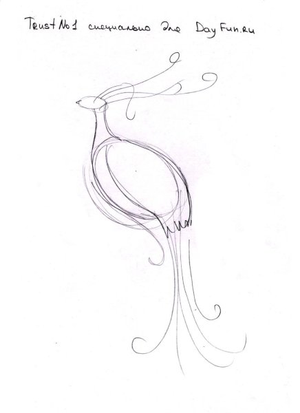 Сказочная птица на дереве раскраска