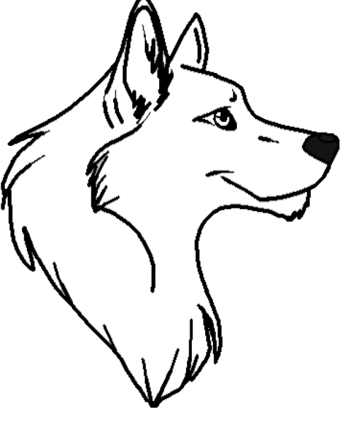 Голова волка рисунок