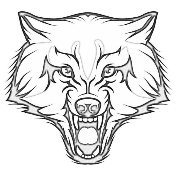 Морда волка рисунок