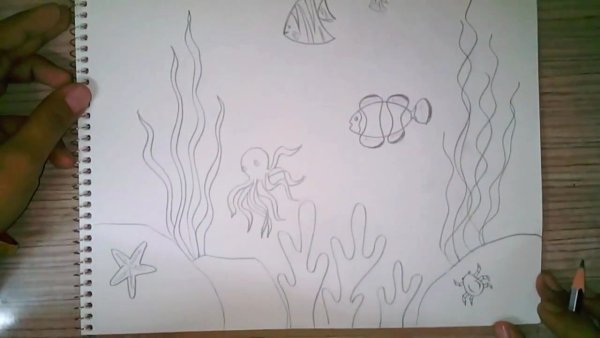 Подводный мир рисунки карандашом легкие