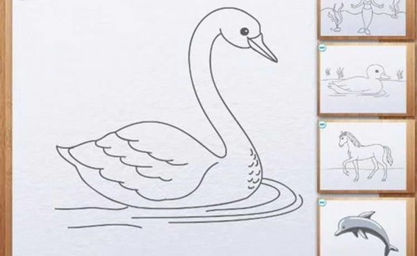 Лебедь сбоку рисунок