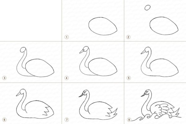 Лебедь рисунок карандашом