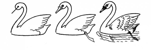 Лебедь рисунок карандашом для детей