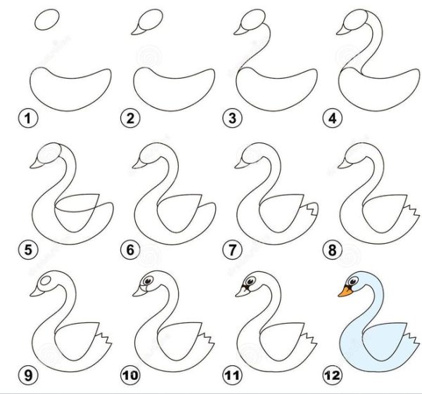 Поэтапное рисование лебедя
