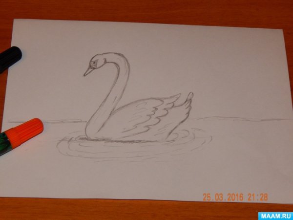 Рисование лебедя в детском саду поэтапно