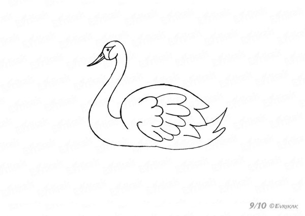 Рисунок лебедя для срисовки