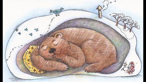 Мишка в берлоге раскраска