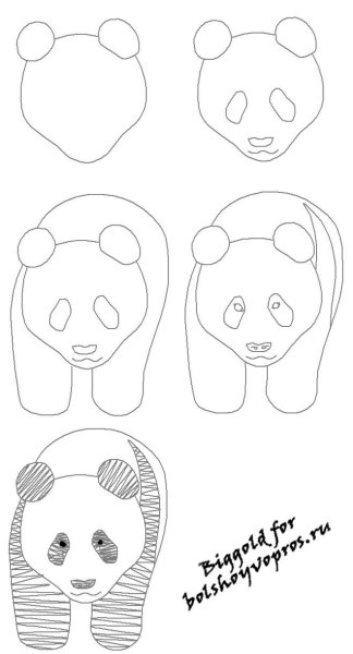 Как нарисовать панду