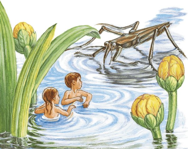 Приключения Карика и Вали