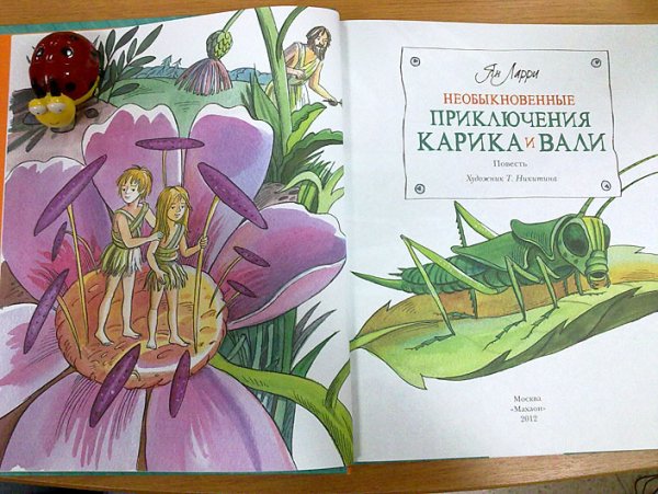 Ян Ларри приключения Карика и Вали рисунки необыкновенные рисунки