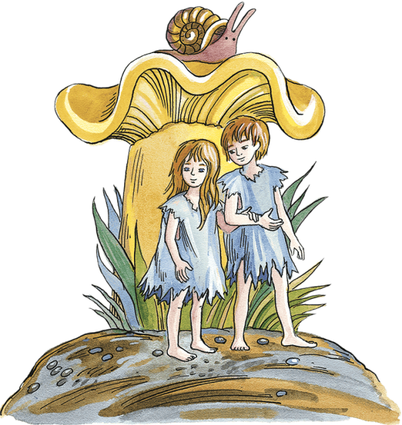 Ян Ларри необыкновенные приключения Карика и Вали