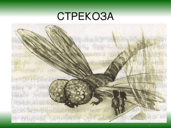 Карик и Валя на стрекозе