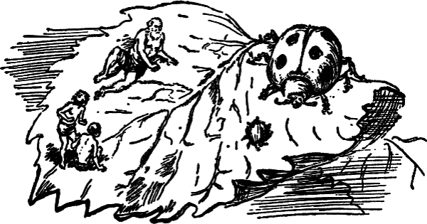 Карик и Валя