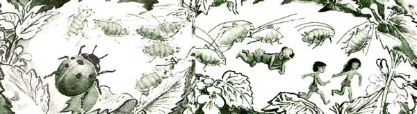 Ян Ларри необыкновенные приключения Карика 1 глава