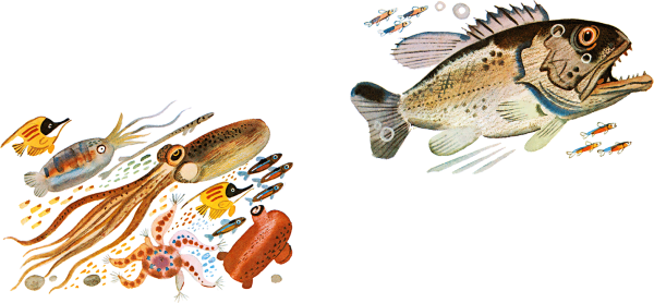 Том Сойер раскраска