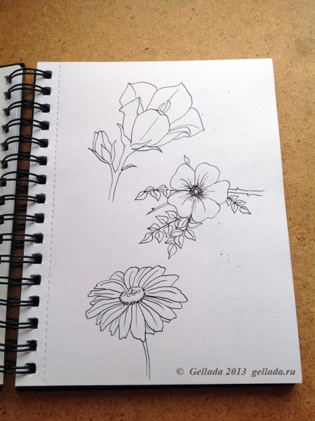 Рисунки для скетчбука для начинающих
