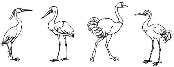 Журавль и цапля раскраска