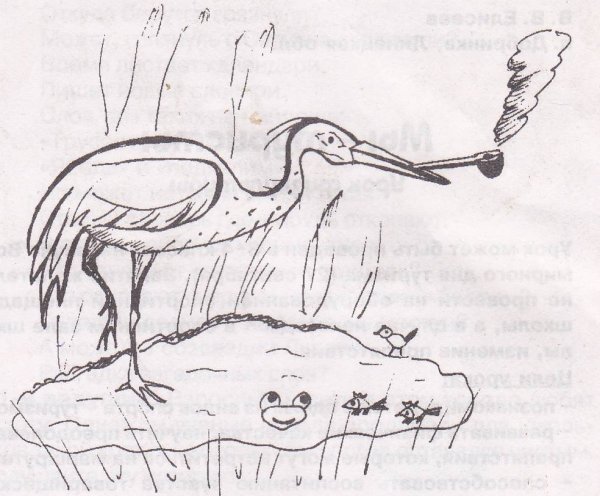 Цапля курильщица