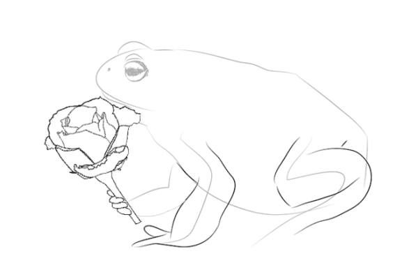 Сказка о жабе и Розе иллюстрации к сказке