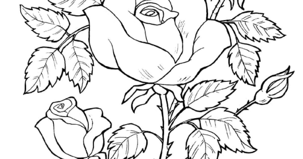 Сказка о жабе и Розе раскраска