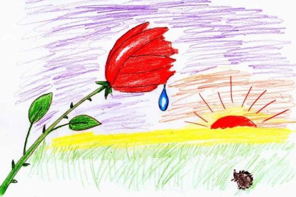 Иллюстрация к сказке о жабе и Розе