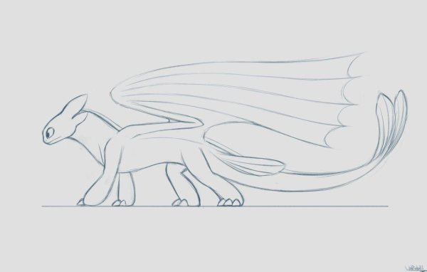 Лайн дракона ночной фурии