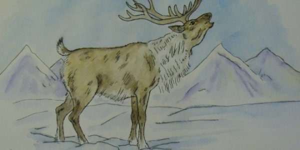 Рисование Северный олень