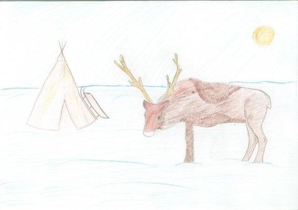 Тундра рисунок для 4 класса